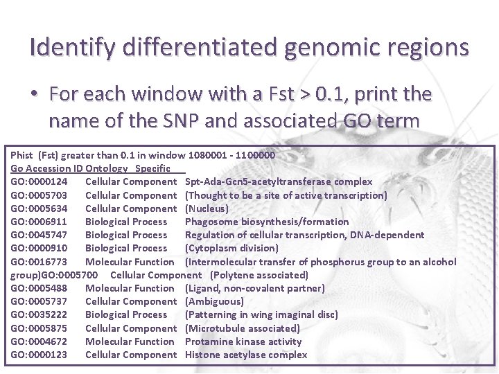 Identify differentiated genomic regions • For each window with a Fst > 0. 1,