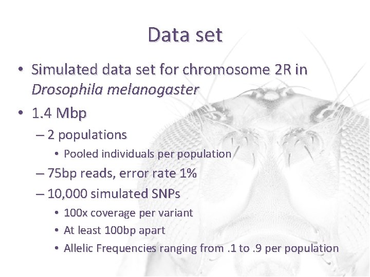 Data set • Simulated data set for chromosome 2 R in Drosophila melanogaster •