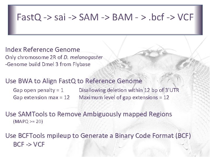 Fast. Q -> sai SAM -> BAM >. bcf -> VCF Data to->Variant Call