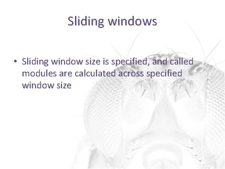 Sliding windows • Sliding window size is specified, and called modules are calculated across