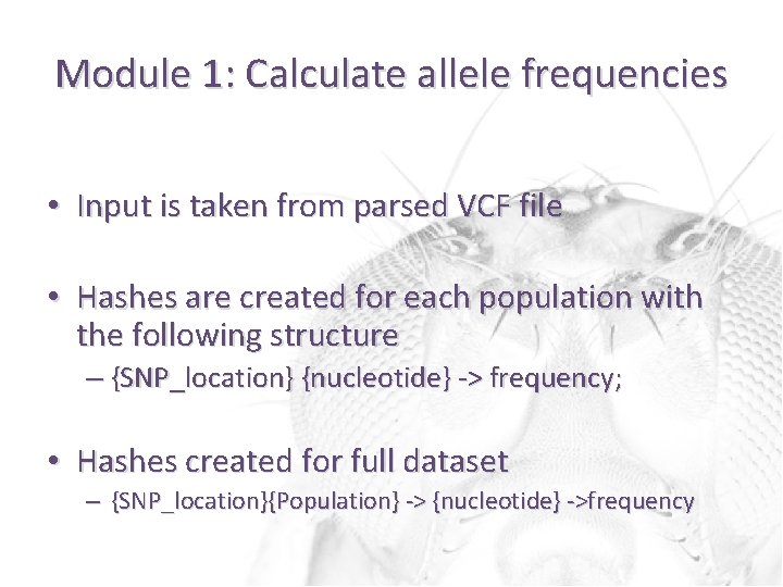 Module 1: Calculate allele frequencies • Input is taken from parsed VCF file •