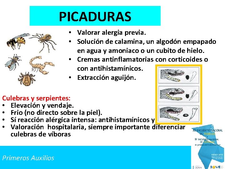 PICADURAS • Valorar alergia previa. • Solución de calamina, un algodón empapado en agua