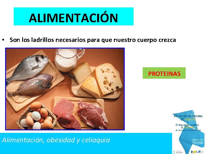 ALIMENTACIÓN • Son los ladrillos necesarios para que nuestro cuerpo crezca PROTEINAS Alimentación, obesidad