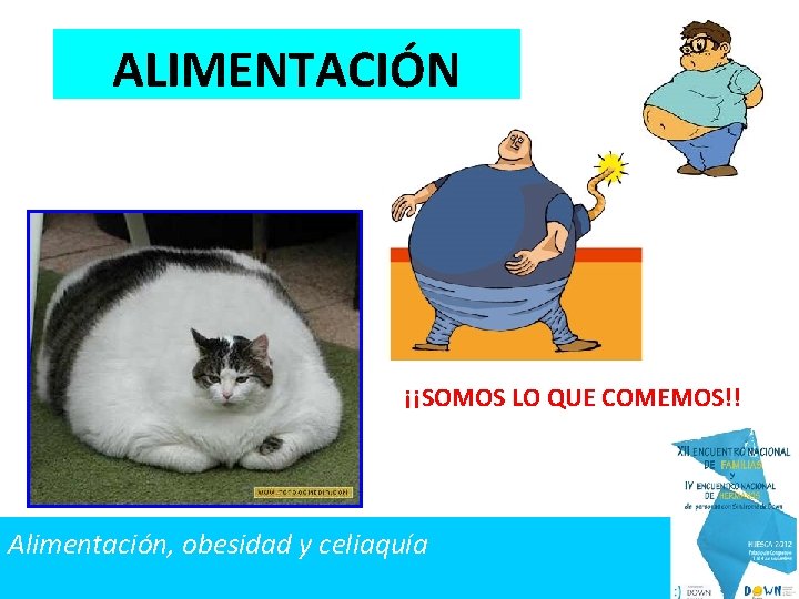 ALIMENTACIÓN ¡¡SOMOS LO QUE COMEMOS!! Alimentación, obesidad y celiaquía 