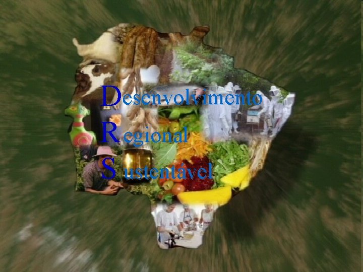 Desenvolvimento R egional S ustentável Desenvolvimento Regional Sustentável 