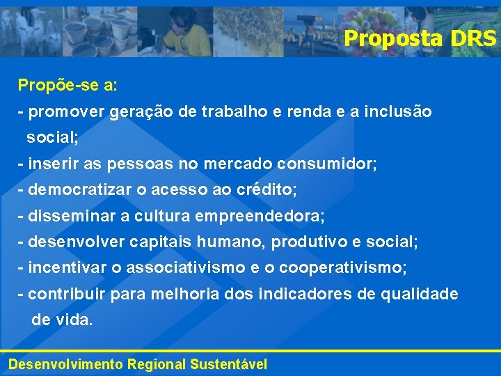 Proposta DRS Propõe-se a: - promover geração de trabalho e renda e a inclusão