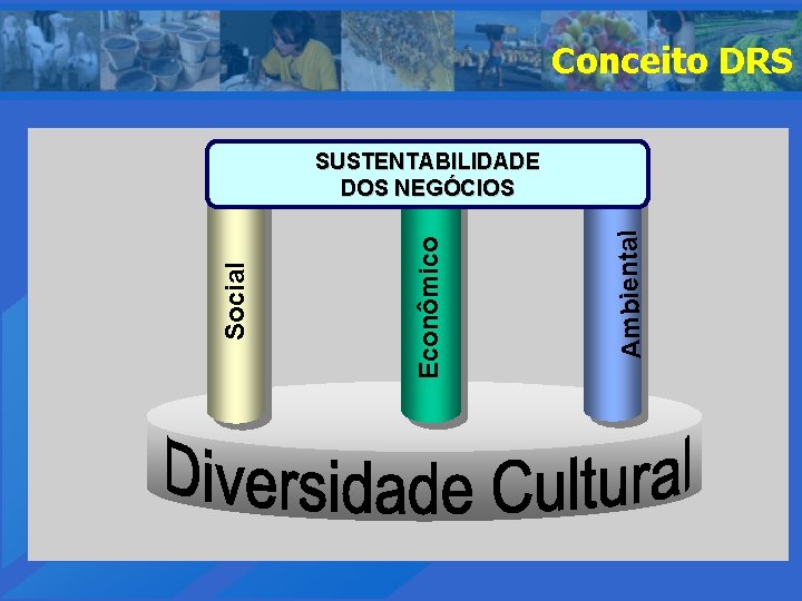 Conceito DRS Ambiental Econômico Social SUSTENTABILIDADE DOS NEGÓCIOS 