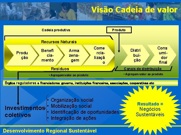 Visão Cadeia de valor Produto Cadeia produtiva Recursos Naturais Produ ção Benefi ciamento Arma