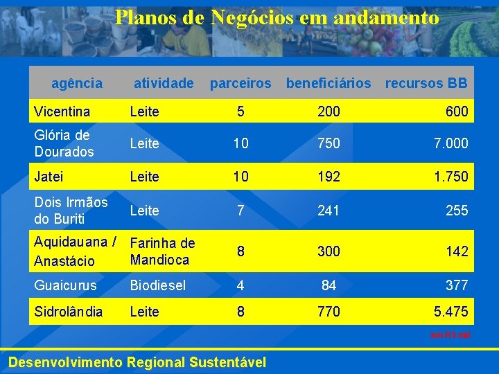 Planos de Negócios em andamento agência atividade parceiros beneficiários recursos BB Vicentina Leite 5