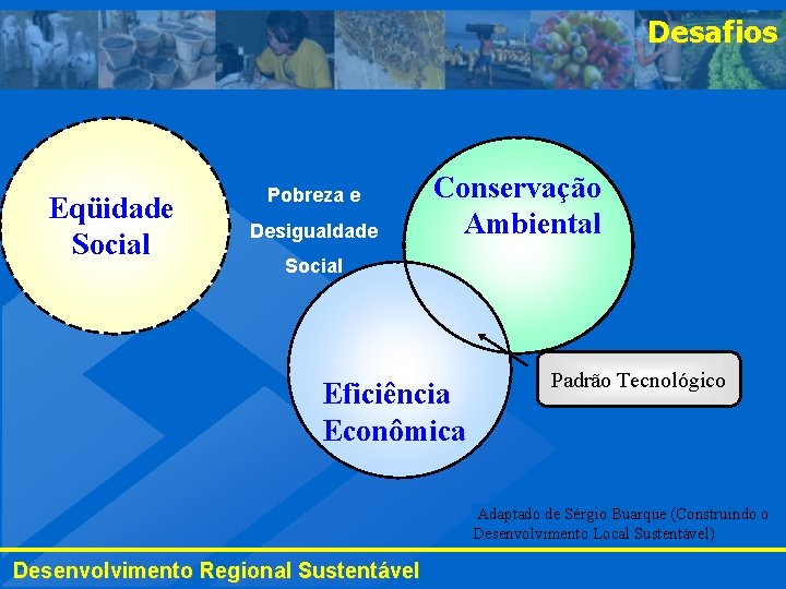 Desafios Eqüidade Social Pobreza e Desigualdade Conservação Ambiental Social Eficiência Econômica Padrão Tecnológico Adaptado