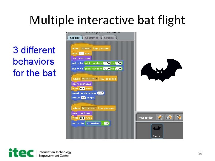 Multiple interactive bat flight 3 different behaviors for the bat 36 