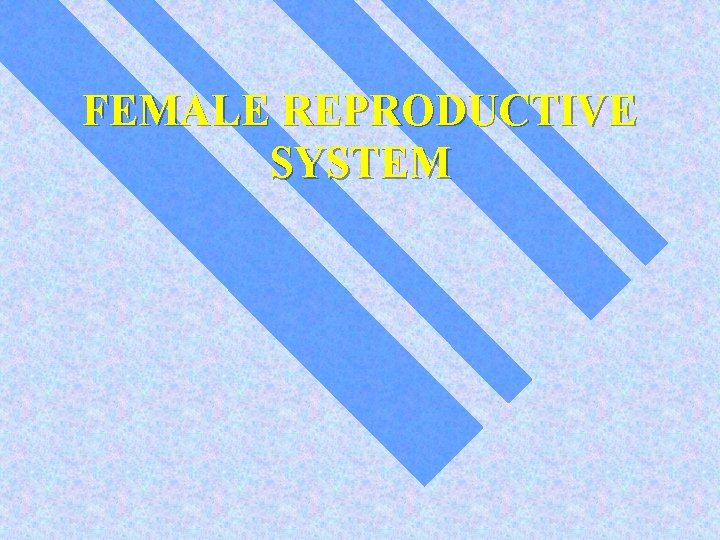 FEMALE REPRODUCTIVE SYSTEM 