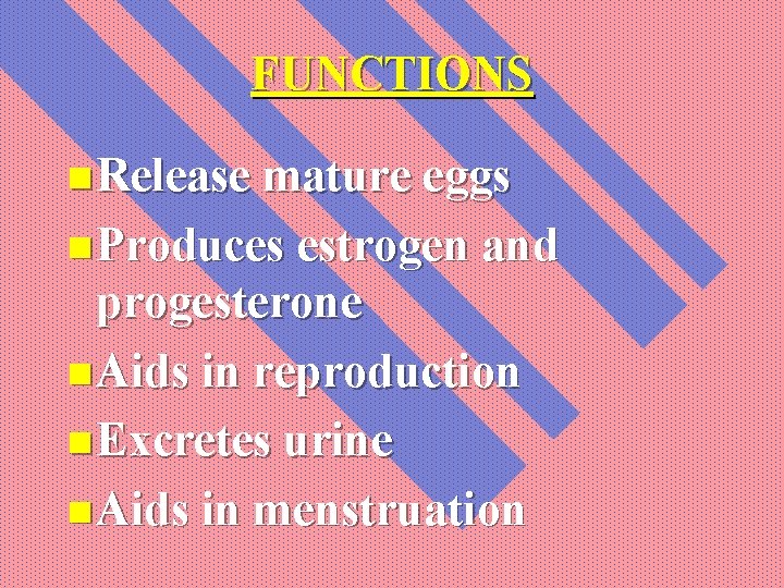 FUNCTIONS n Release mature eggs n Produces estrogen and progesterone n Aids in reproduction