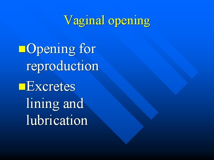 Vaginal opening n. Opening for reproduction n. Excretes lining and lubrication 