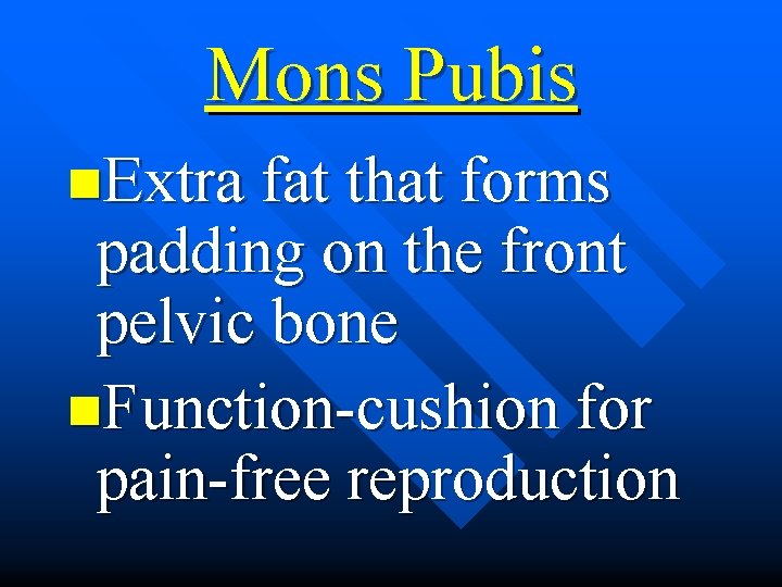 Mons Pubis n. Extra fat that forms padding on the front pelvic bone n.