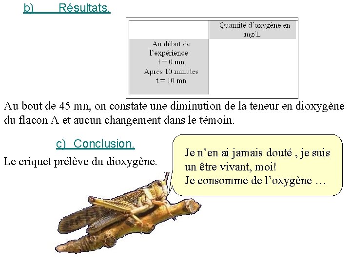b) Résultats. Au bout de 45 mn, on constate une diminution de la teneur
