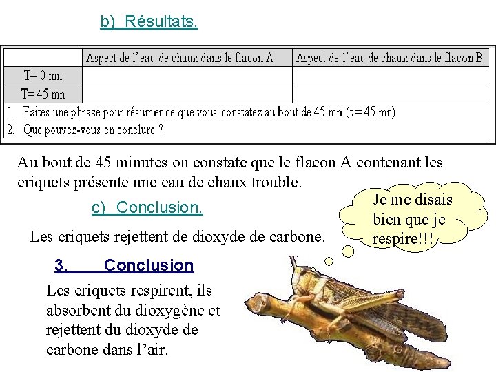 b) Résultats. Au bout de 45 minutes on constate que le flacon A contenant