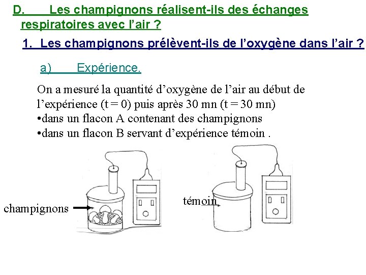 D. Les champignons réalisent-ils des échanges respiratoires avec l’air ? 1. Les champignons prélèvent-ils