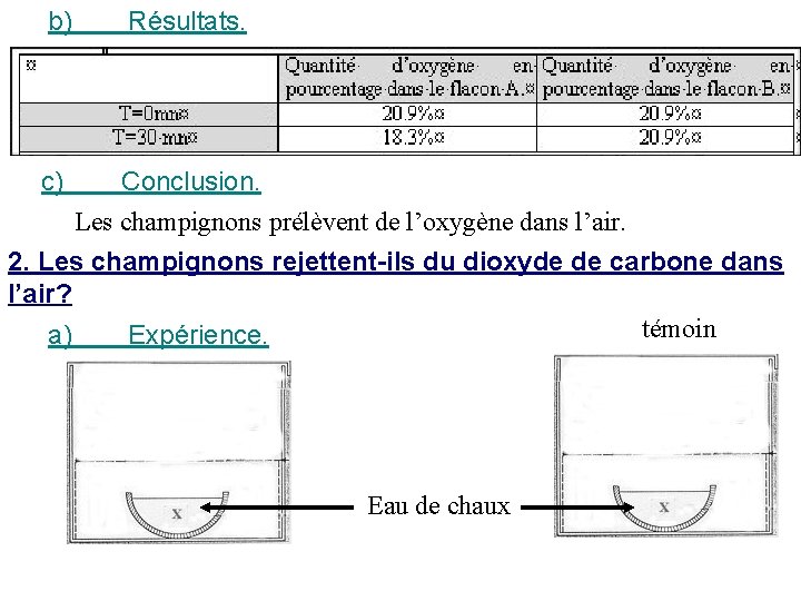 b) c) Résultats. Conclusion. Les champignons prélèvent de l’oxygène dans l’air. 2. Les champignons