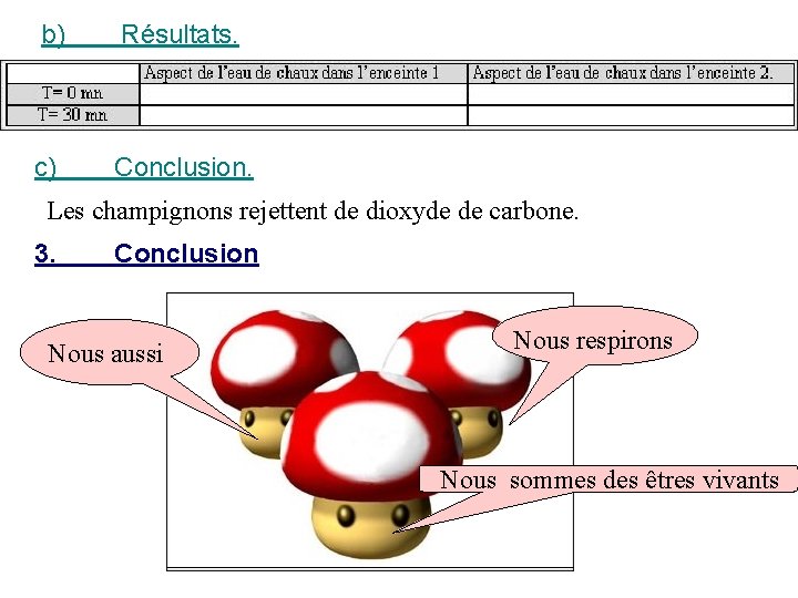 b) Résultats. c) Conclusion. Les champignons rejettent de dioxyde de carbone. 3. Conclusion Nous