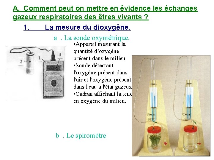 A. Comment peut on mettre en évidence les échanges gazeux respiratoires des êtres vivants