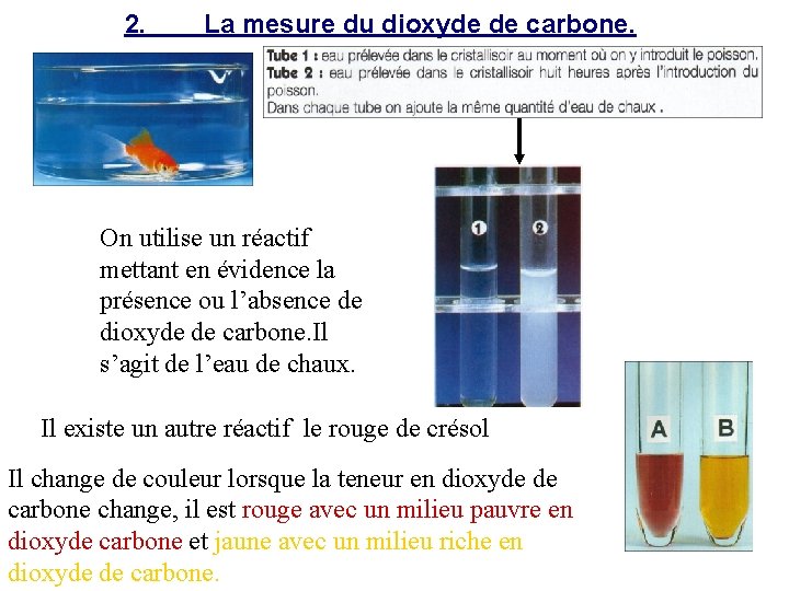 2. La mesure du dioxyde de carbone. On utilise un réactif mettant en évidence