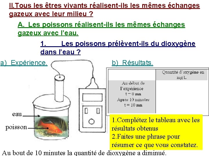 II. Tous les êtres vivants réalisent-ils les mêmes échanges gazeux avec leur milieu ?