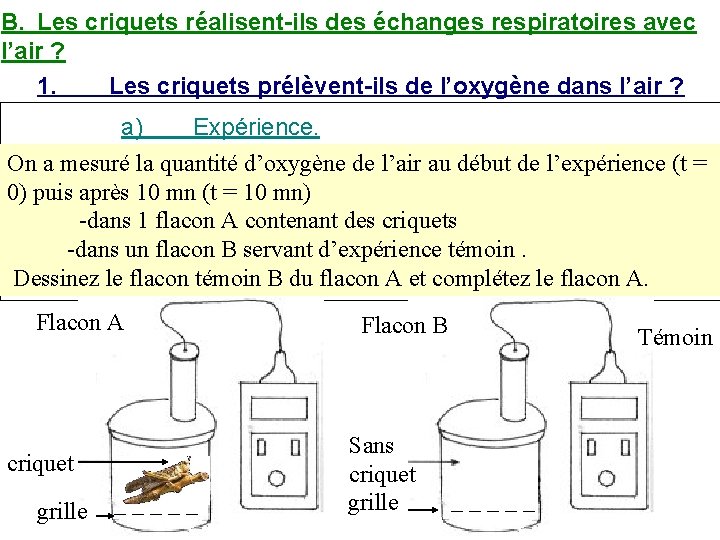 B. Les criquets réalisent-ils des échanges respiratoires avec l’air ? 1. Les criquets prélèvent-ils