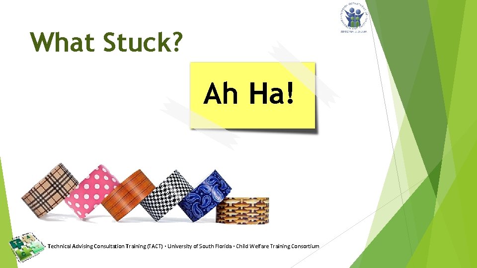 What Stuck? Ah Ha! Technical Advising Consultation Training (TACT) · University of South Florida