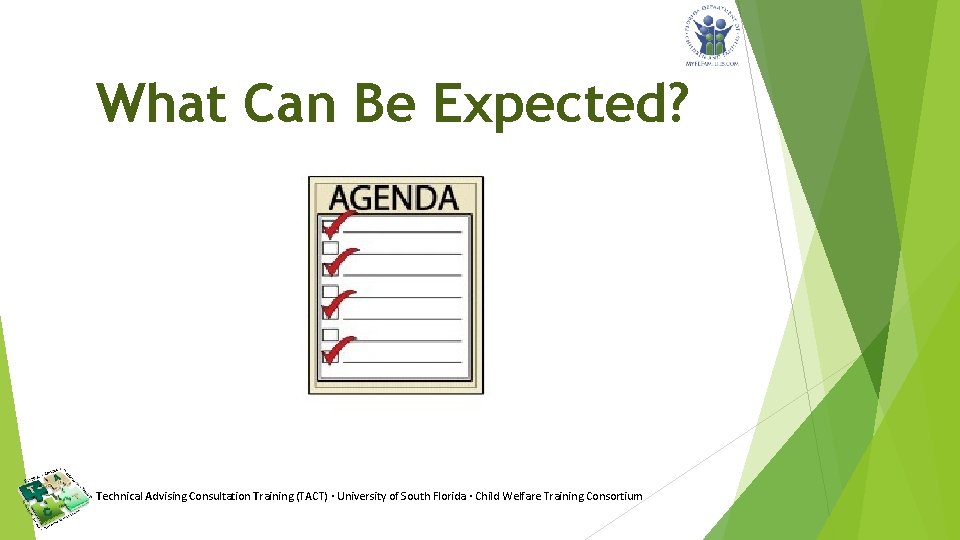What Can Be Expected? Technical Advising Consultation Training (TACT) · University of South Florida