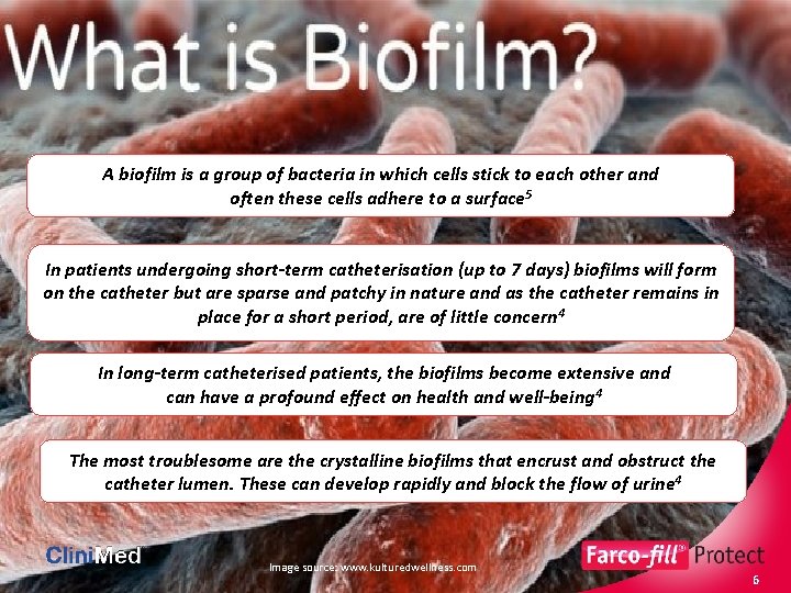A biofilm is a group of bacteria in which cells stick to each other