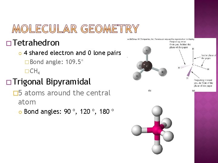 � Tetrahedron 4 shared electron and 0 lone pairs � Bond angle: 109. 5°