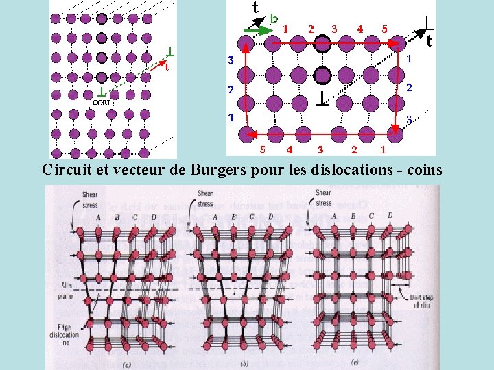 Circuit et vecteur de Burgers pour les dislocations - coins 