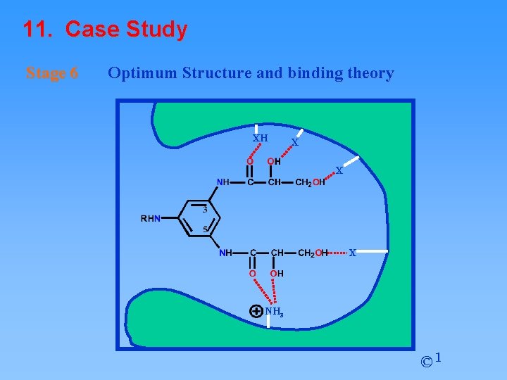 11. Case Study Stage 6 Optimum Structure and binding theory XH X X X 11. Case Study Stage 6 Optimum Structure and binding theory XH X X X