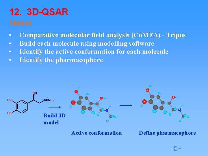 12. 3 D-QSAR Method • • Comparative molecular field analysis (Co. MFA) - Tripos 12. 3 D-QSAR Method • • Comparative molecular field analysis (Co. MFA) - Tripos