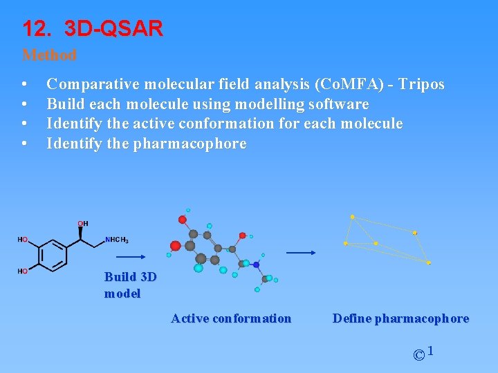 12. 3 D-QSAR Method • • Comparative molecular field analysis (Co. MFA) - Tripos 12. 3 D-QSAR Method • • Comparative molecular field analysis (Co. MFA) - Tripos