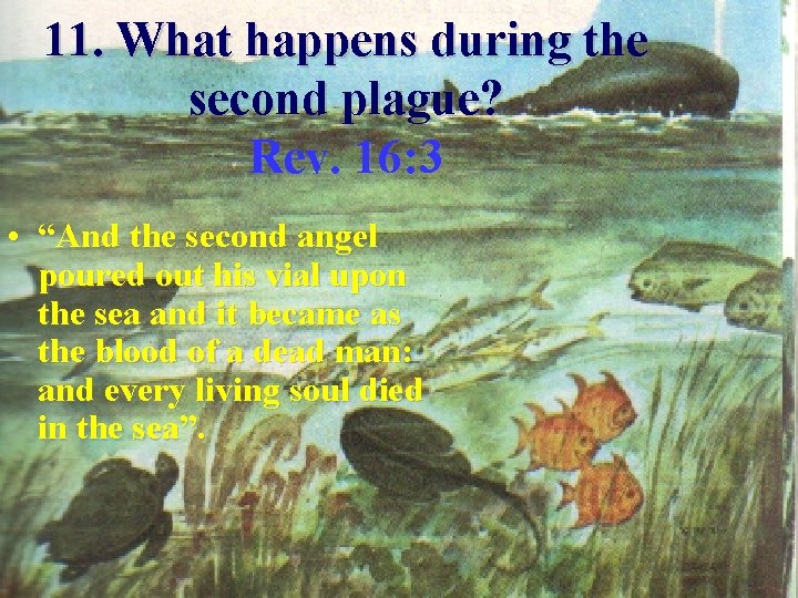 11. What happens during the second plague? Rev. 16: 3 • “And the second