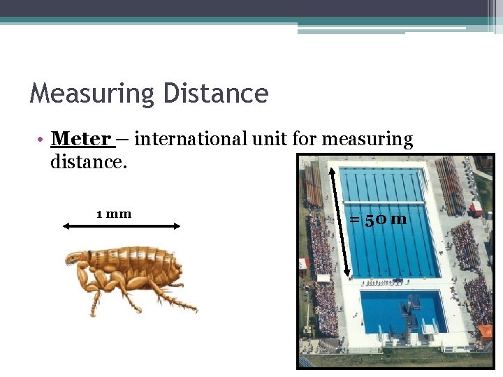 Measuring Distance • Meter – international unit for measuring distance. 1 mm = 50