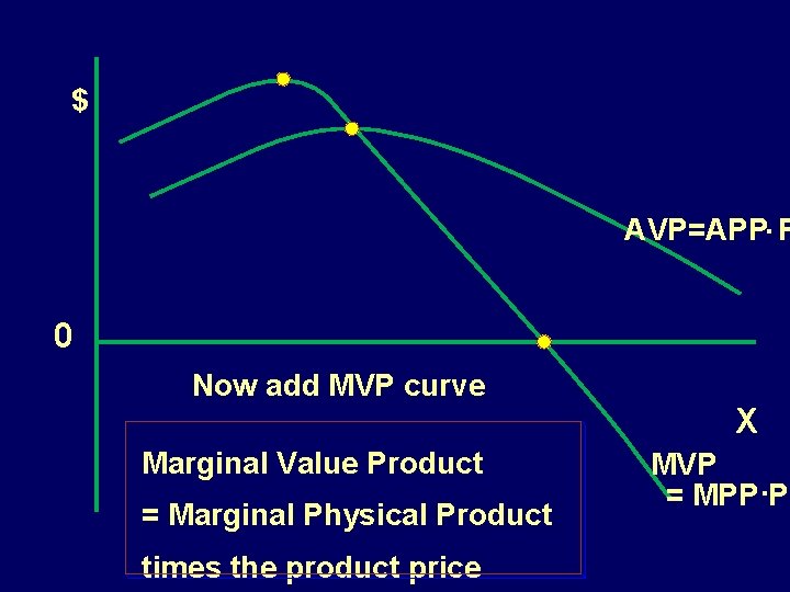 $ AVP=APP. P 0 Now add MVP curve Marginal Value Product = Marginal Physical