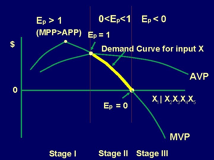 Ep > 1 0<Ep<1 Ep < 0 (MPP>APP) Ep = 1 $ Demand Curve