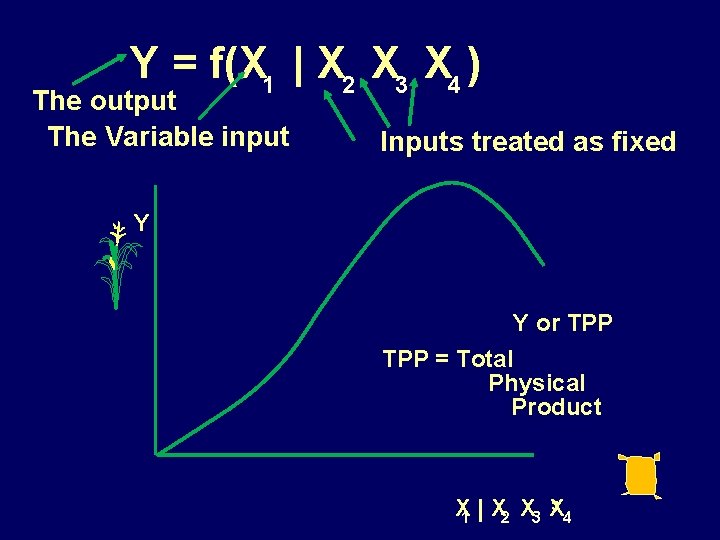 Y = f(X 1 | X 2 X 3 X 4 ) The output