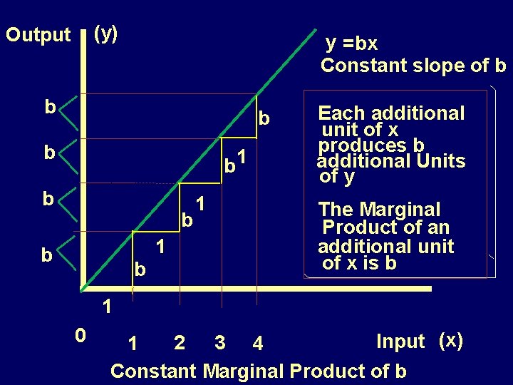 (y) Output y =bx Constant slope of b b b 1 Each additional unit