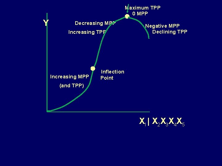 Maximum TPP 0 MPP Y Decreasing MPP Increasing TPP Increasing MPP Negative MPP Declining