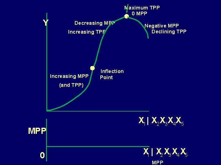 Maximum TPP 0 MPP Y Decreasing MPP Increasing TPP Increasing MPP Negative MPP Declining