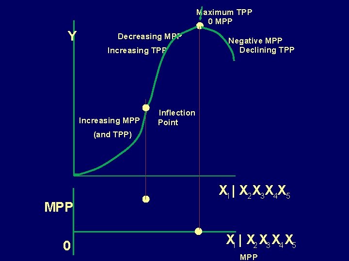 Maximum TPP 0 MPP Y Decreasing MPP Increasing TPP Increasing MPP Negative MPP Declining