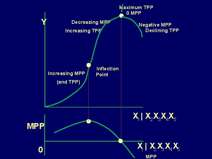 Maximum TPP 0 MPP Y Decreasing MPP Increasing TPP Increasing MPP Negative MPP Declining