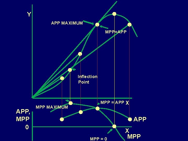 Y APP MAXIMUM MPP=APP Inflection Point APP, MPP 0 MPP MAXIMUM MPP = APP