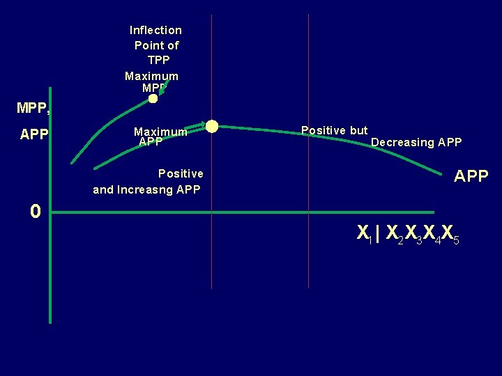 Inflection Point of TPP Maximum MPP, APP Maximum APP Positive and Increasng APP 0