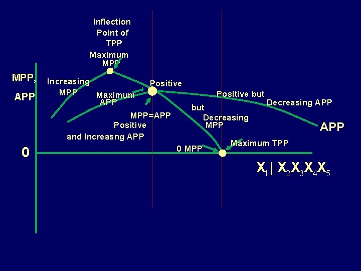 Inflection Point of TPP Maximum MPP, APP Increasing MPP Maximum APP Positive MPP=APP Positive