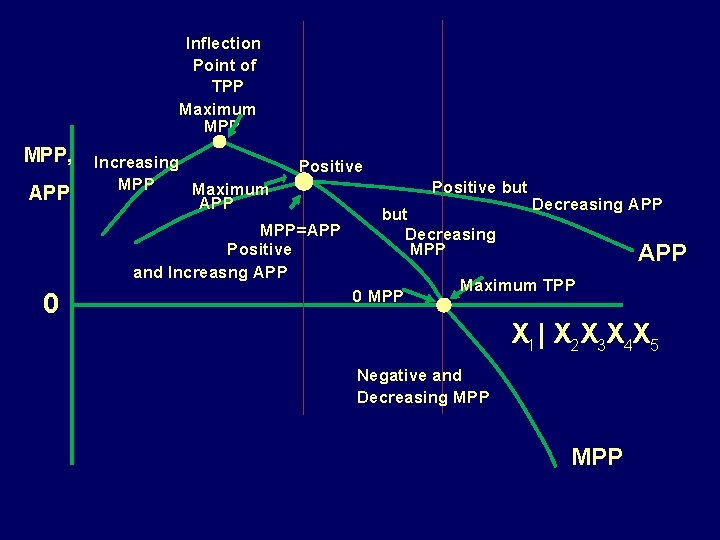 Inflection Point of TPP Maximum MPP, APP Increasing MPP Maximum APP Positive MPP=APP Positive